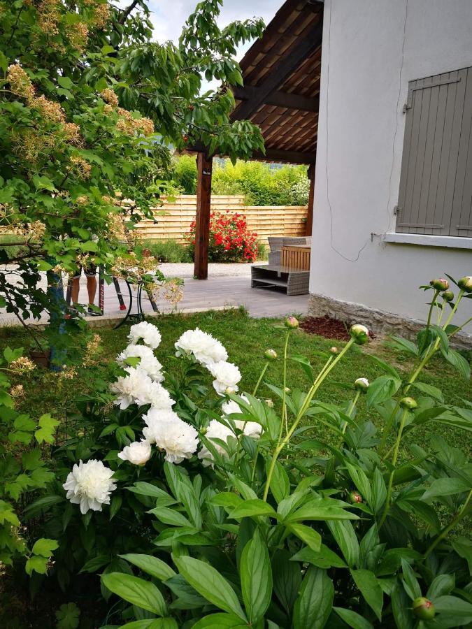 Maison 3 Etoiles Avec Jardin Pour Familles, Sportifs, Curistes... Digne-les-Bains Kültér fotó